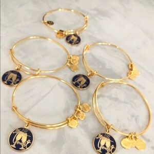 Alex and Ani Gold 'Let's Toast' Charm Bracelet